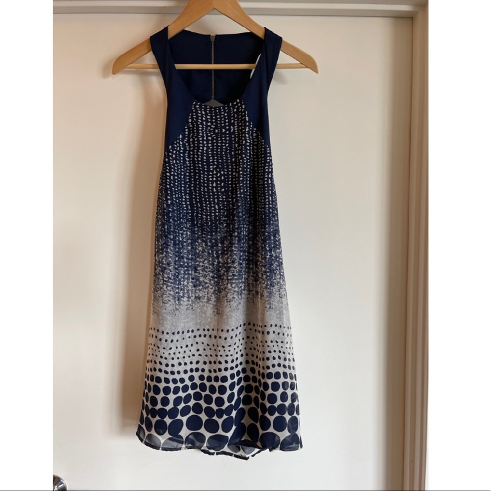 Millibon Swing Dress